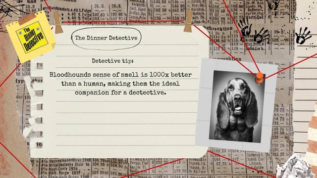 Fun little detective tip of the day!🐕

For more info on our interactive murder mystery show, and tickets visit:  thedinnerdetective.com

-
-
-
-
-
-
-
-
-
-
-
-
-
-
 #truecrime #truecrimecommunity #murdermystery #coldcase #dinner #theatre #comedy #DinnerDetective #InteractiveMurderMystery #MysteryNightOut #DinnerTheaterNight #ThinkDrinkSolve #immersivetheatre #interactivefun #livecomedy #datenightideas #couplesnightout #datenightcomedy #nightout #privateevent #taketwo #rm