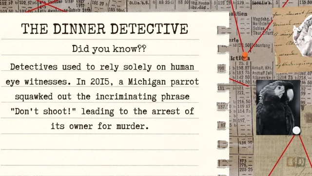 Talk about a squawking snitch!

Looking for a laughter filled night?
- "Its like SNL meets Clue"

For tickets and more info check out:
https://www.thedinnerdetective.com

or use the link in bio!

-
-
-
-
-
-
-
-
-
-
-
-
-
-
-
-
-
-
-
-
-
-
-
-
-
-
-
-
-
-

-
-
-
 #truecrime #truecrimecommunity #murdermystery #coldcase #dinner #theatre #comedy #DinnerDetective #InteractiveMurderMystery #MysteryNightOut #DinnerTheaterNight #ThinkDrinkSolve #immersivetheatre #interactivefun #livecomedy #datenightideas #couplesnightout #datenightcomedy #nightout #privateevent #vivaelpoderpopular