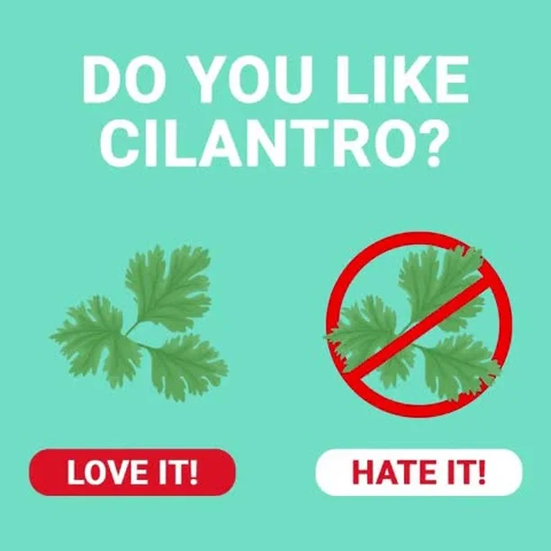 DID YOU KNOW: Research estimates that between 4% and 14% of the world population says cilantro (AKA coriander) has a soapy taste. In these cases, the interpretation of cilantro's aldehydes is affected by a genetic variation in the OR6A2 gene for reasons unknown.

#IHateCorianderDay #truecrime #truecrimecommunity #murdermystery #coldcase #dinner #theatre #comedy #DinnerDetective #InteractiveMurderMystery #MysteryNightOut #DinnerTheaterNight #ThinkDrinkSolve #immersivetheatre #interactivefun #livecomedy #datenightideas #couplesnightout #datenightcomedy #nightout #privateevent #weekendplans #localevents #thingstodo

https://loom.ly/LFhfJzQ